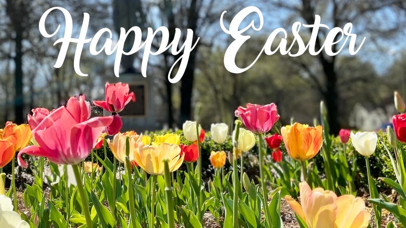 DSU_Alumni's tweet photo. Happy Easter from the Alumni Association! @DeltaState @presidentDSU @DSU_Foundation @DSUStatesmen https://t.co/xJxXkmSIsQ