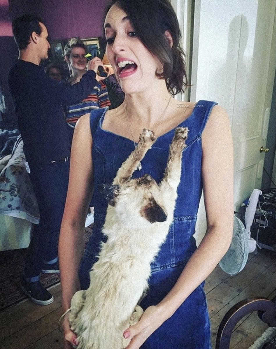 colmansfilm's tweet photo. to be that stuffed cat in phoebe waller bridge’s arms... https://t.co/zWLV9opSDr