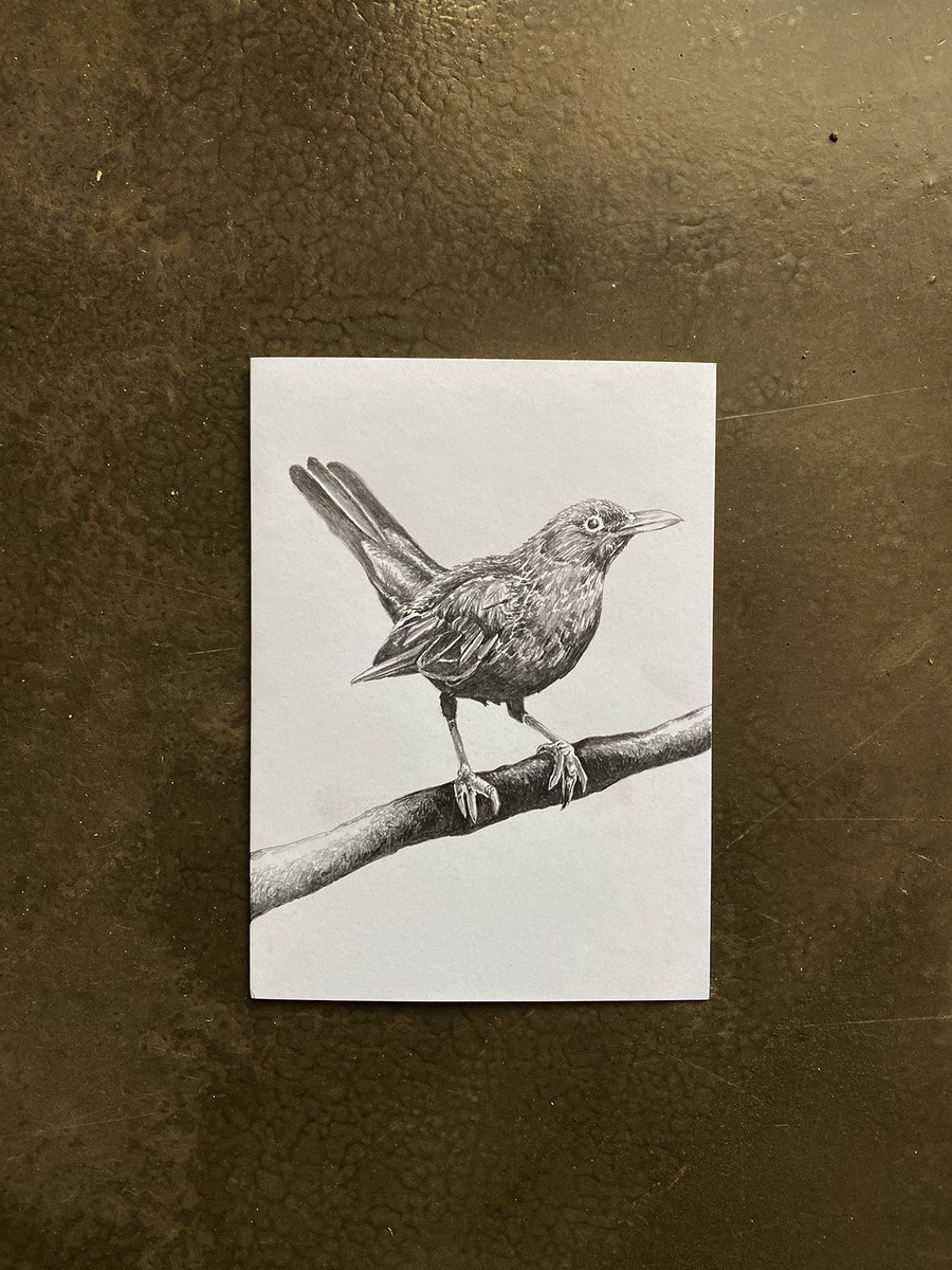 Scot Wittman tweet media