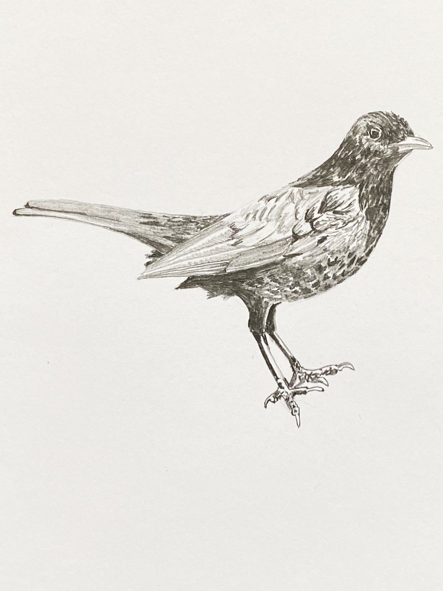 Scot Wittman tweet media