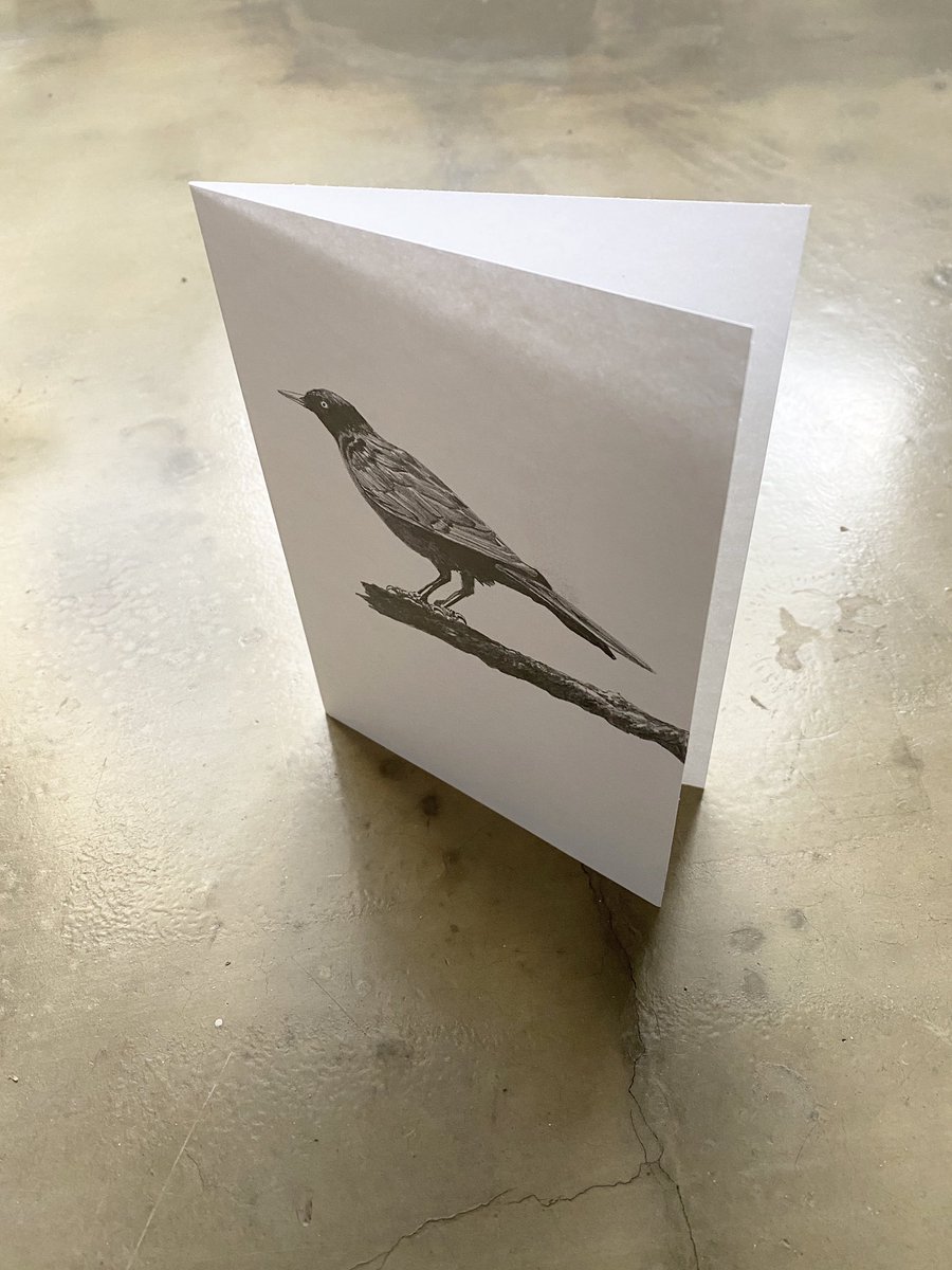 Scot Wittman tweet media