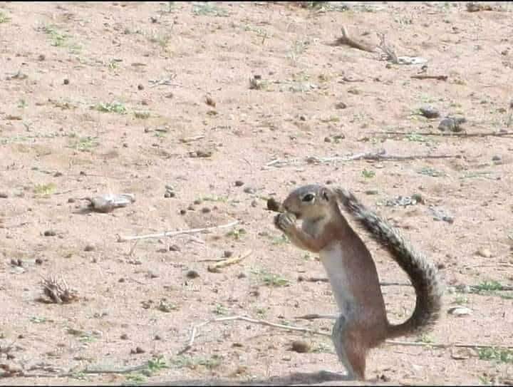 NujuumBullaale's tweet photo. Magaciisa iyo Midhaha uu aadka u jecel yahay inuu cuno haddii aad sheegto, Follow, Love iyo Retweet ayaad iga wada helaysaa isla hal mar. https://t.co/soxc3KQjhd