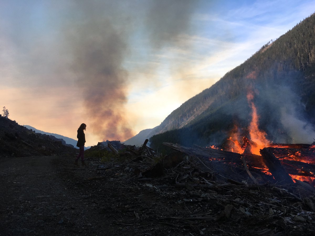 Torrance Coste tweet media