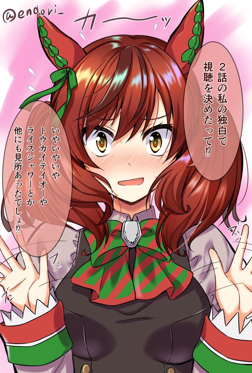 えんどり テンカツ中 ありがとう ナイスネイチャ 2期の2話から視聴を始め そこから一気にウマ娘にハマったのですが 彼女がいなかったら作品を好きになっていなかったのかもしれない そんな意味ではmvp