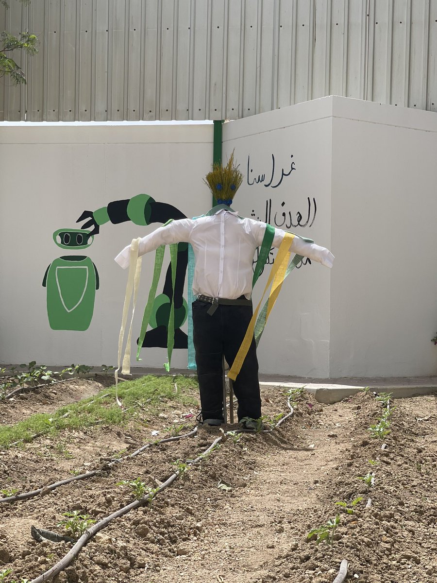 QA_Garden's tweet photo. من التحديات التي واجهتنا هذه السنة وجود الطيور واستطعنا التغلب عليها بوضع الفزاعة في حديق�� غراس المصرفية #QBGFoodSecurity https://t.co/P4DhDV25gu