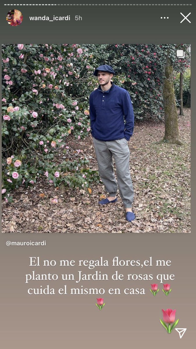 CarCancina's tweet photo. Te admiro, te observo, te analizo y te respeto. Wanda como haceeeeees https://t.co/TPA2cX6iZo