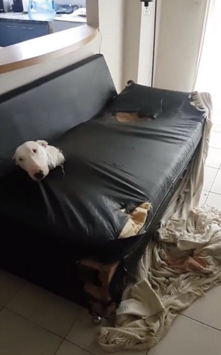 ry_pie51's tweet photo. me sleeping at a friends house, when they don’t give me a blanket. https://t.co/csmBpBrIMB