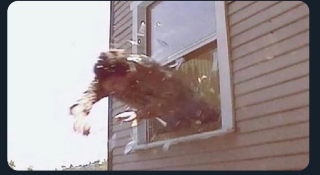 Ok boys now we can play safe!

Me: