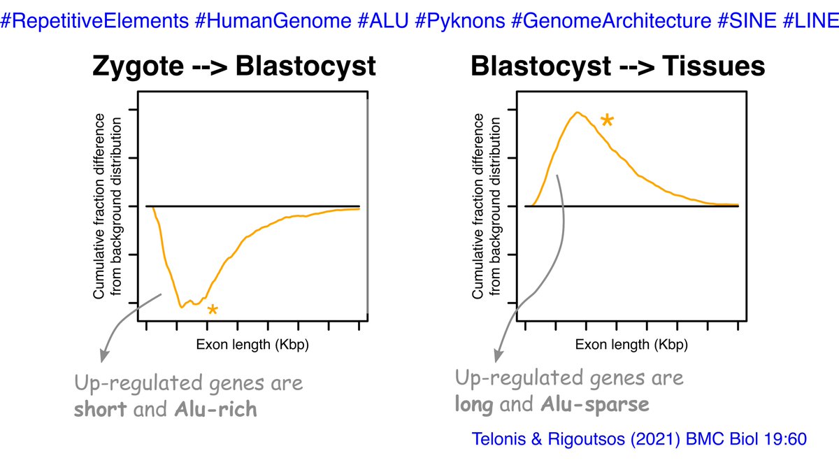 CompMedicineTJU's tweet image. #RepetitiveElements strike back. Links between #ALU, #SINE, #LINE, #pyknons and human and mouse genes that are prevalent in the #zygote and the #blastocyst. 
Read more here cm.jefferson.edu/repetitive-ele…

@JeffersonUniv @KimmelCancerCtr @JeffersonAlumni