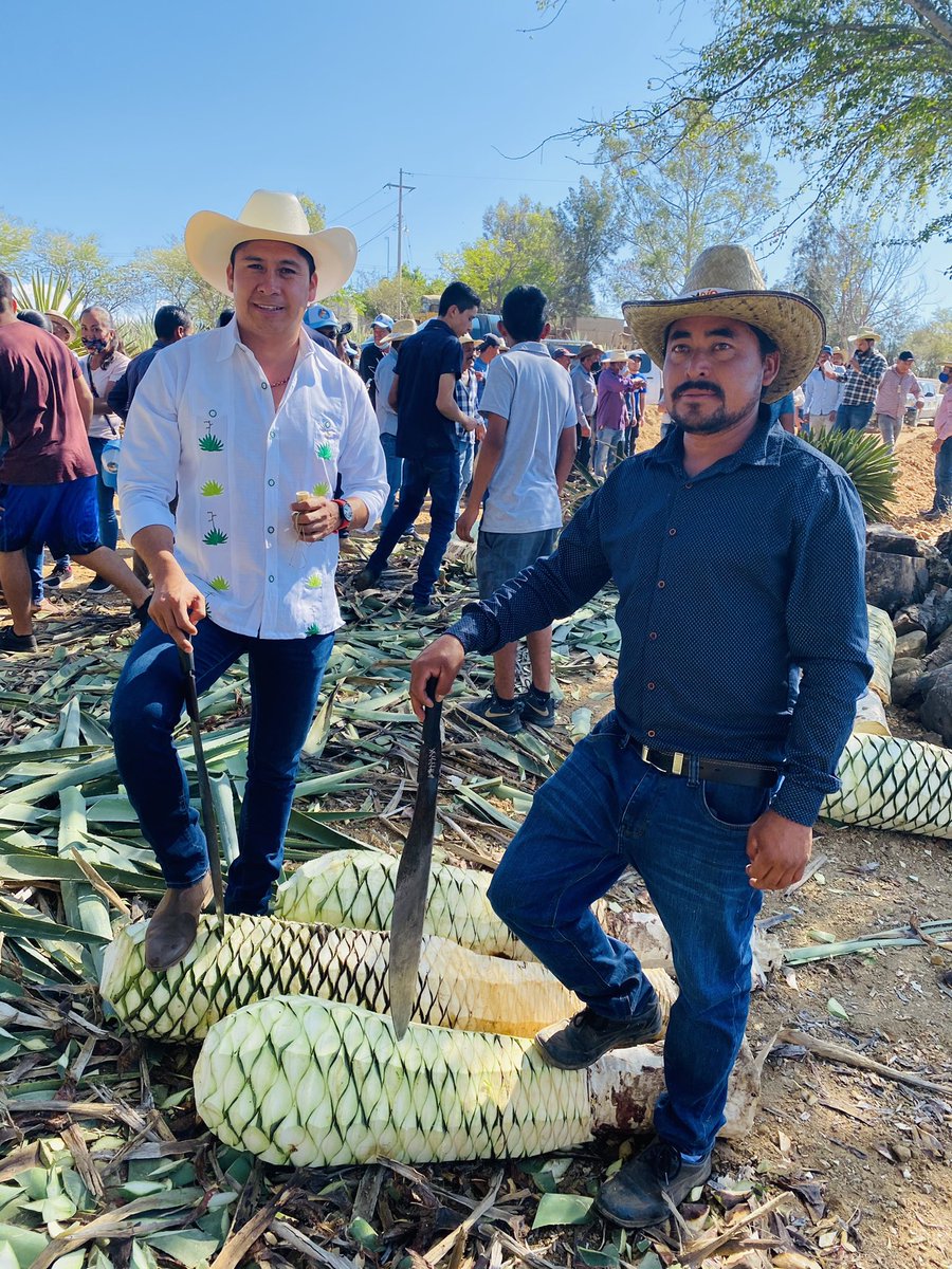 Los palenqueros Miahuatecos tienen a un amigo que trabaja y gestiona a favor de todos ellos