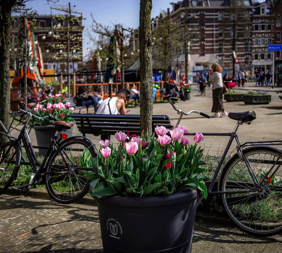 TulipMuseum's tweet photo. The @tulpfestival #Amsterdam starts today! Check out this handy map of locations where you can see tulip displays around the city: https://t.co/MCZJCTNUVv https://t.co/xERq5Gf9j6