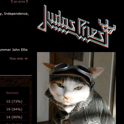 Metal Archives Has Replaced Every Band Photo With A Cat Photo