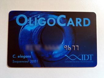TATUM bioscience (@tatumbioscience) on Twitter photo Today we spent the last dollars of the OligoCard we won at SynBio 2019. Thanks again to <a href="/IDTDNA/">Integrated DNA Technologies</a> and <a href="/OntarioGenomics/">Ontario Genomics</a>, the card really helped us engineer our synthetic live biotherapeutics 😊
#IDTDNA #OntarioGenomics #SynBio #TATUMbioscience Today we spent the last dollars of the OligoCard we won at SynBio 2019. Thanks again to <a href="/IDTDNA/">Integrated DNA Technologies</a> and <a href="/OntarioGenomics/">Ontario Genomics</a>, the card really helped us engineer our synthetic live biotherapeutics 😊
#IDTDNA #OntarioGenomics #SynBio #TATUMbioscience