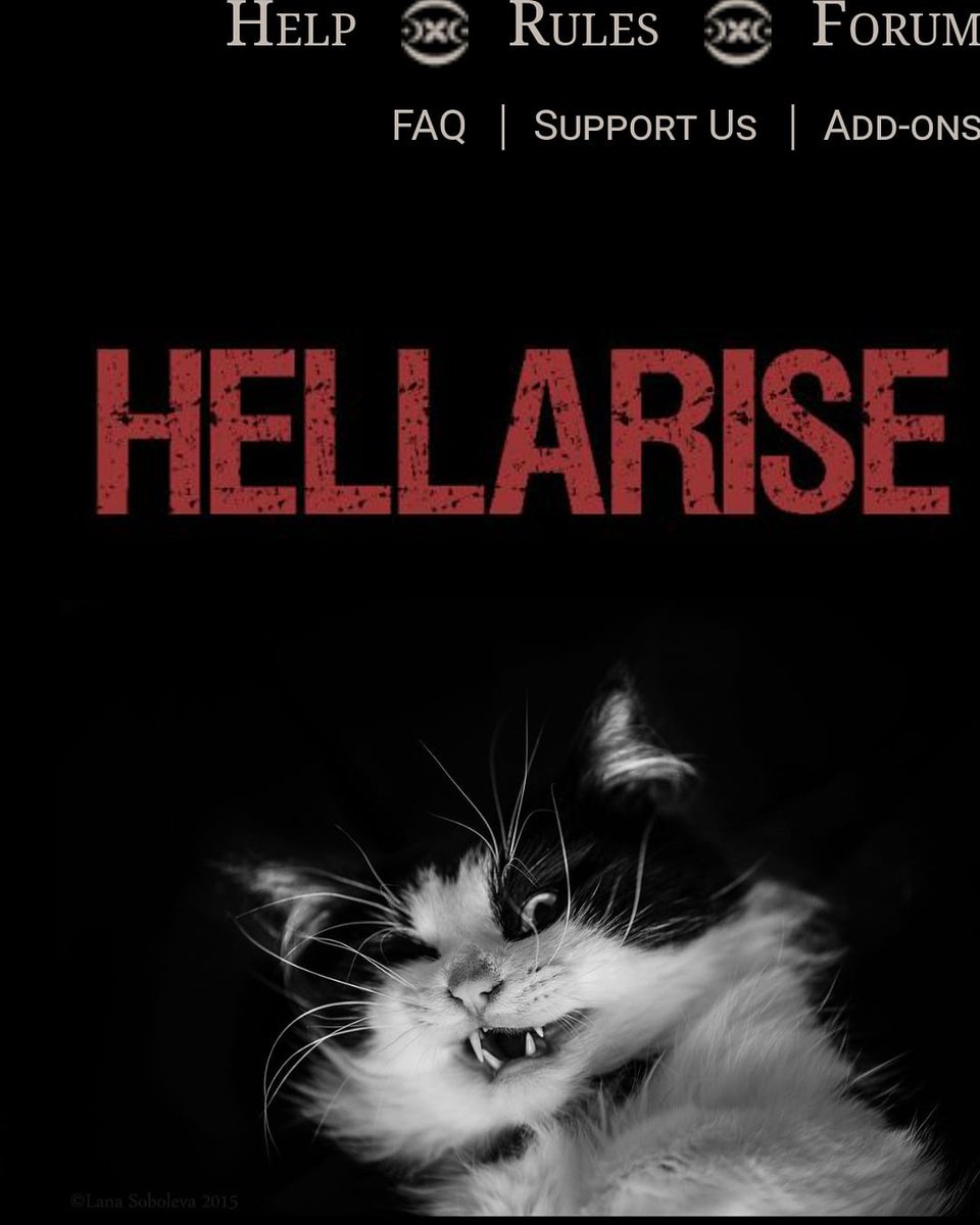 HellArise tweet media