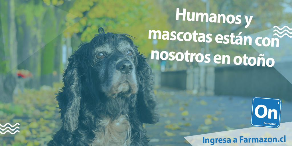 En abril, y siempre, nos preocupamos por #humanos y #mascotas. Visítanos en Farmazon.cl y pídenos lo que necesitas. Si sacarás tu #tercerretirodel10 que sea por salud
#Farmacia #FarmaciaDelivery  #PymesChile  #Cuarentena #QuédateEnCasa #Fase1 #Fase2