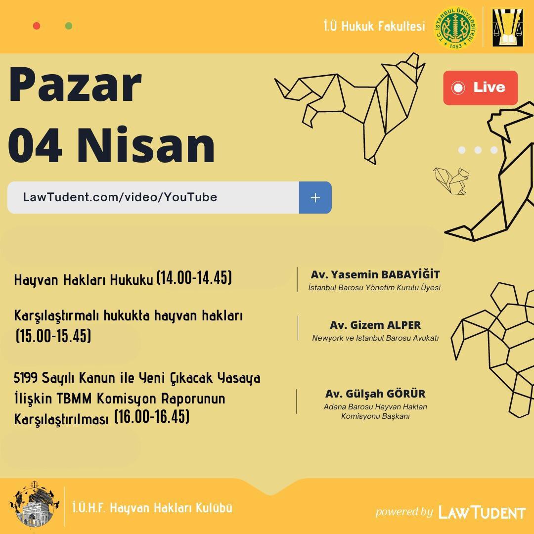 Gizem Alper (@gizemalper) / Twitter