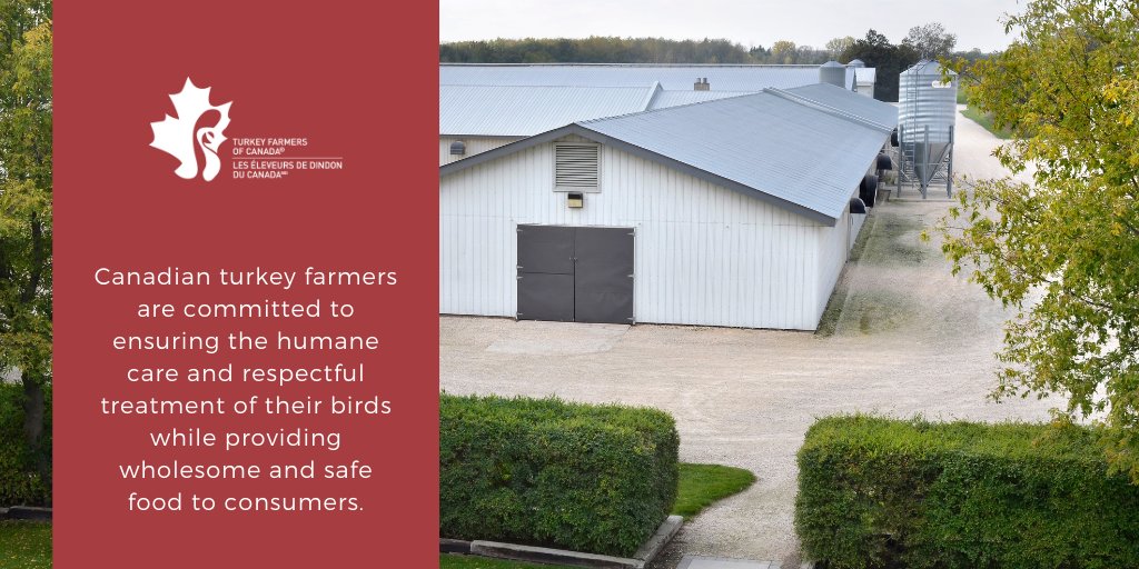 TFC administers two auditable On-Farm Programs designed to demonstrate and ensure a high standard of care on Canadian turkey farms. #CdnTurkey