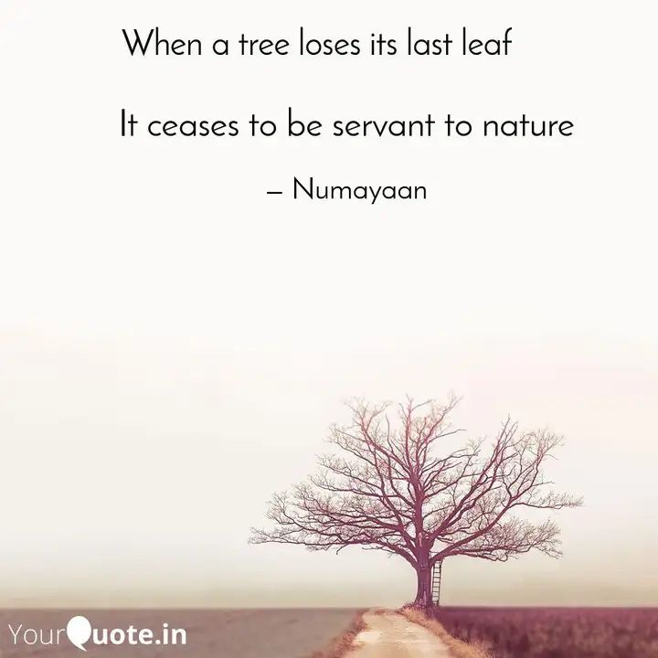 DograPunjabi's tweet image. What happens when a tree loses its last leaf? How does it feel? Let us know. #MusingTime #LastTreeLeaf #YourQuoteAndMine
Collaborating with YourQuote Baba
 
Read my thoughts on YourQuote app at yourquote.in/manuj-bahal-ds…