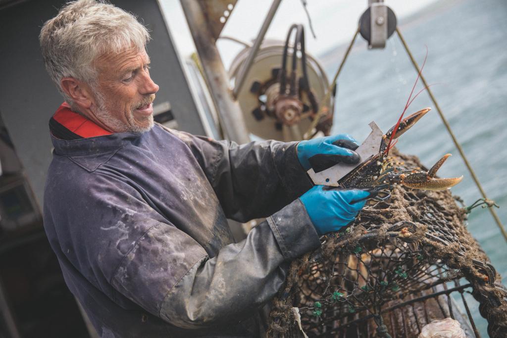 Reserve Seafood tweet media