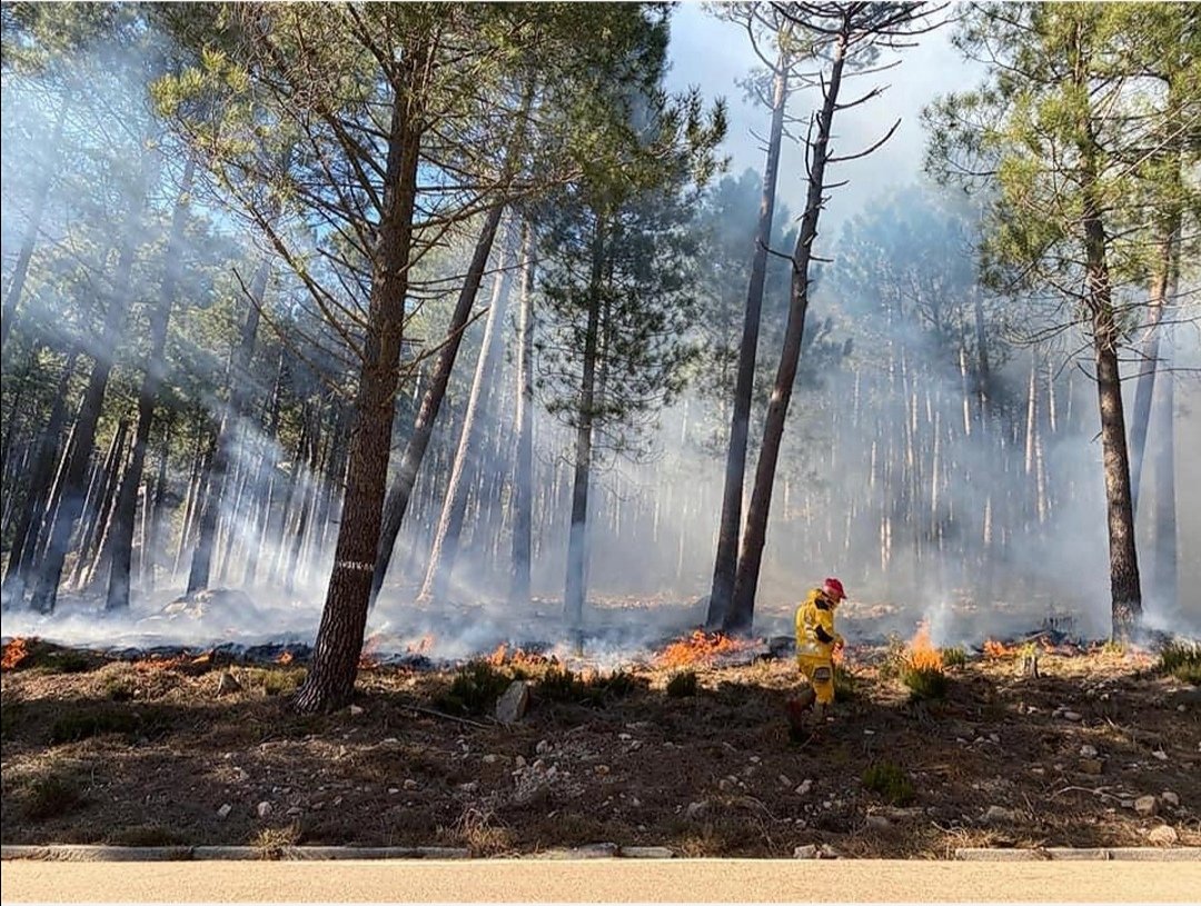 sis_2b's tweet image. Les équipes spécialisées parfont leur formation #BrûlageDirigé 🔥
En corse, session #EquipierBrûlage avec nos collègues @sdis2a @ONF_Officiel &amp;amp; #Forsap @IsulaCorsica, sous l&apos;égide de l&apos;Ecole Valabre ; et dans le Gard pour nos collègues M. Santucci &amp;amp; J. Mariani #ChefsDeChantier 👍