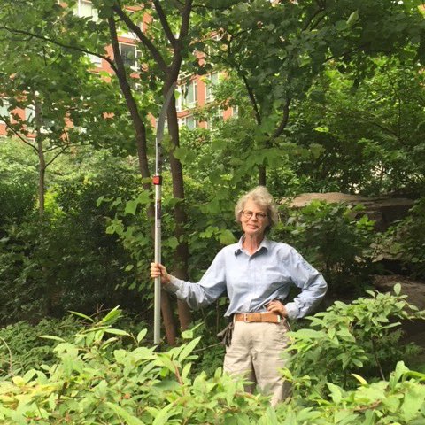 bpca_ny's tweet photo. To conclude our #WomensHistoryMonth series we’re highlighting Nancy Buivid, BPCA’s Senior Horticulturist! Read about her work in Teardrop Park and more here: https://t.co/Tkgn7gsFbD #BatteryParkCity #BPC #BPCCommunity #WomenEmpowerment Photo credit: Pamela Moulton / Jean Schwartz https://t.co/gPpAA0lwmU