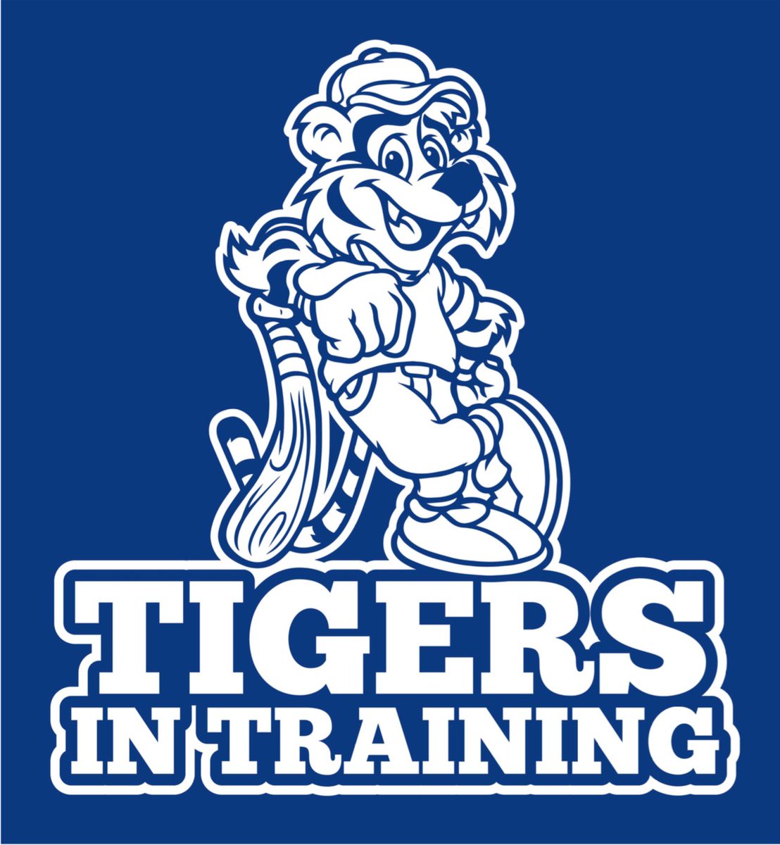 Auburn High Baseball tweet media