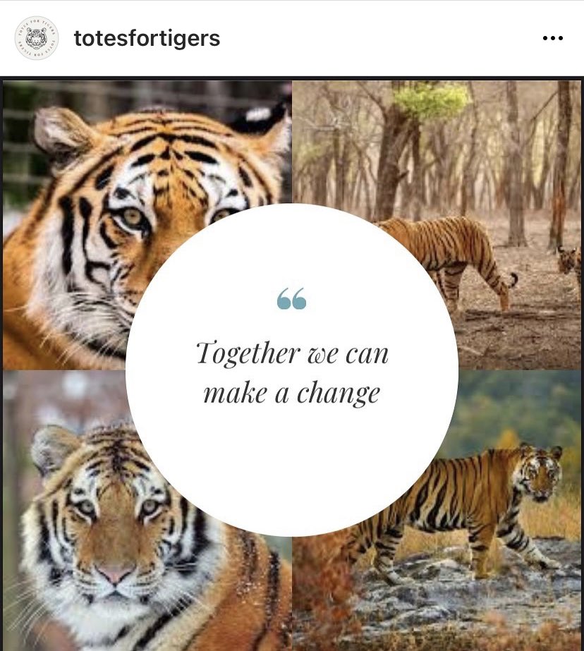 Parnaz Kashani tweet media