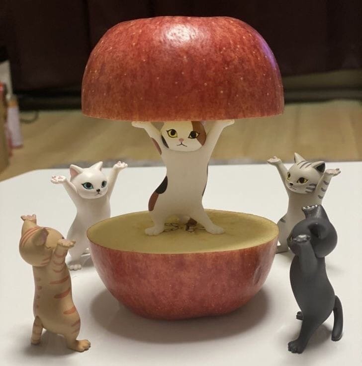 Shibuya Boy) tweet media