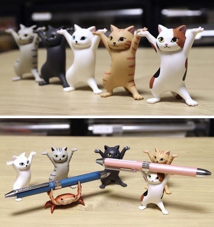 Shibuya Boy) tweet media