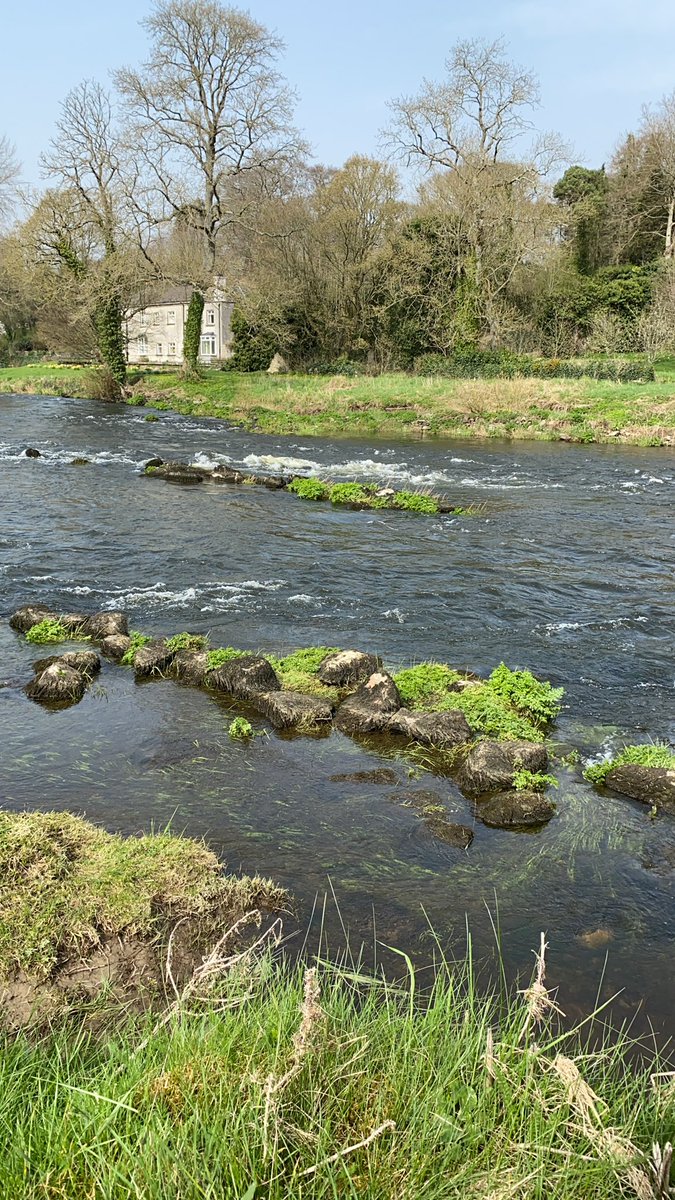 FlyfishingSedge's tweet image. What a day today #flyfishing #spectacular 30+ fish landed and all returned safely 🤙🤙