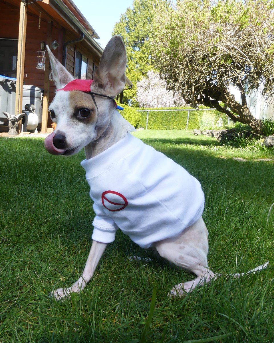 sproutpups's tweet photo. Woof be bop #fridaynightfunkin #fnf #fridaynightfunkincosplay https://t.co/f1bfSLIVeT