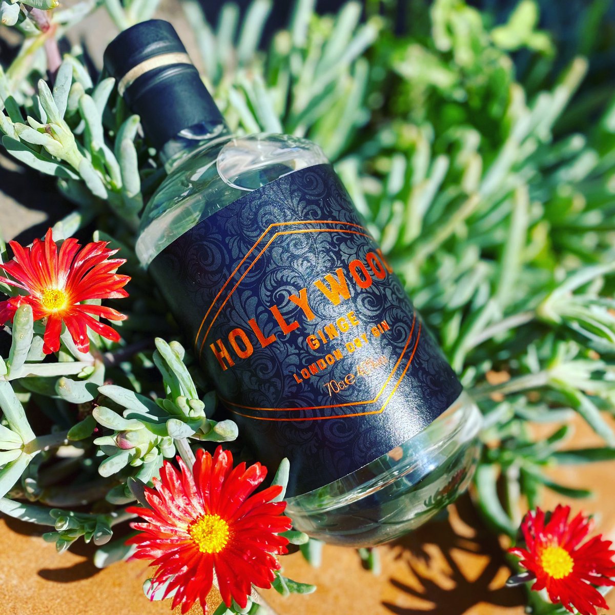 HollywoodDrinks's tweet photo. Stress less & enjoy the best π§‘
#tingeofginge #gin #hollywood #ginger #ginge #gintonic #ginbars #gintribe #ginlicious #ginlife #ginspiration #ginspired #gincocktails #gincocktail #gincollection #ginclub #spirit #distillery #smallbusiness https://t.co/mbYiXRaimn