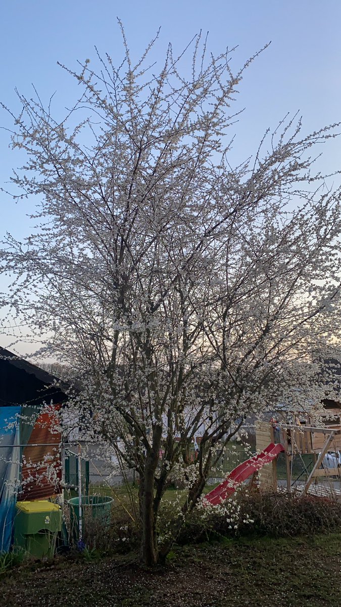 Frühling 🥰