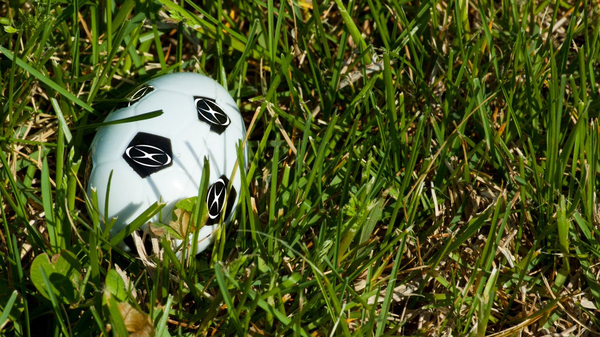 XaraSoccer's tweet photo. Designing 2022, what do you think of our new egg shaped soccer ball?  Retweet with other products you think we should consider. https://t.co/ywWdAuJUo5