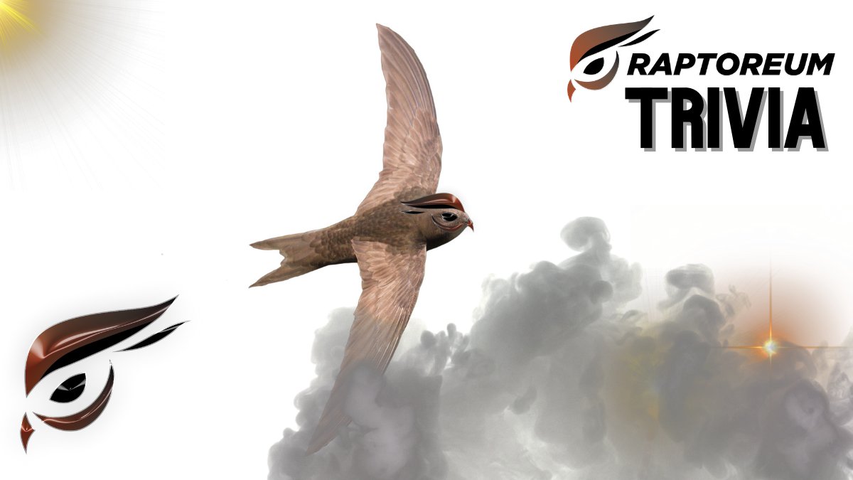 Tonight's popular #Raptoreum #Trivia starts at 11pm BST. #Play for #RTM with the #FastestFingers on #Discord and #Telegram
t.me/raptoreumm
discord.gg/2T8xG7e
#TakePart #Win #Privacy #Blockchain #CompetitionTime #SmartContracts #SmartAssets #SpreadThoseWings #BTC #ETH