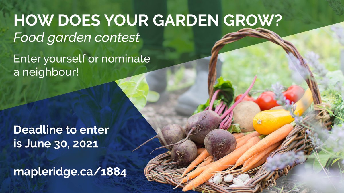YourMapleRidge's tweet photo. Do you or anyone you know have a food garden? The City of Maple Ridge Agricultural Advisory Committee is hosting a great food garden contest. Visit https://t.co/EgSUKObLfM to learn all the details, including some awesome prizes up for grabs. https://t.co/xHIm1VAJs2