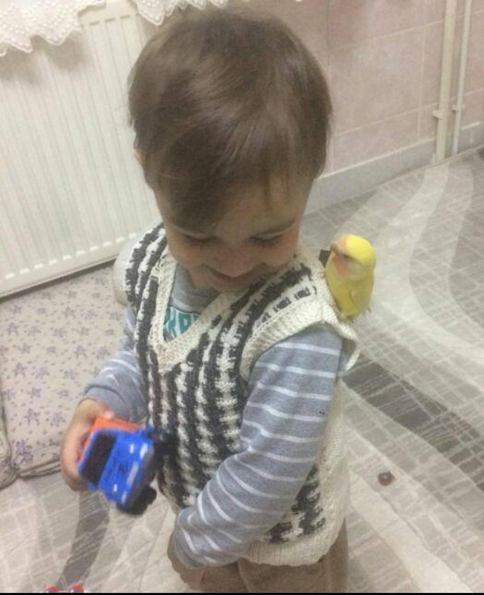 TutsakBebekler's tweet photo. URFA / MARAŞ

Ayşenur Çakmak 2,5 yıldır Şanlıurfa'da, mide rahatsızlığı olan ve aşırı zayıflayan Mehmet Ç. ise K.Maraş'ta tutuklu.

Yıllardır ebeveynlerinden ayrı Muhammed Fatih'in(4) aile bütünlüğüne ihtiyacı var!

@GaniMujde

ÜçÇocuk AnnesizKalmasın
 https://t.co/FAsQk1SBQA