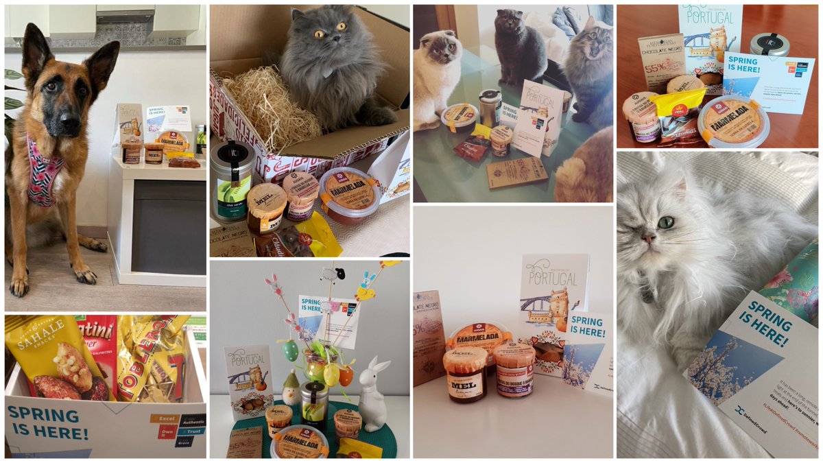 Definedai's tweet photo. Spring is here! Recently spotted at the doorsteps of #DefinedCrowd employees (and their pets 🐶🐱): saying a big thank you for all the hard work and resilience during a long winter in tough times. Looking towards brighter days ahead.

 #LifeAtDefinedCrowd #Spring https://t.co/Cw7eX28l58