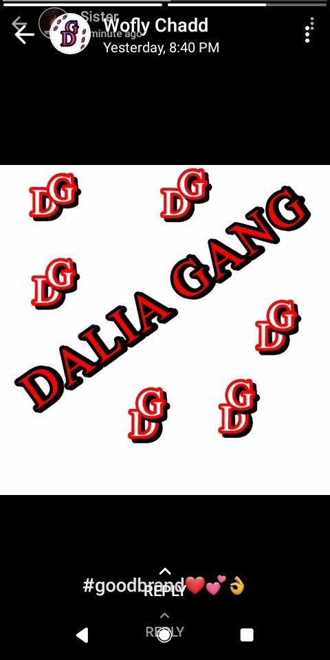 HalloPain's tweet photo. #DailaGangdripmasters https://t.co/Rzu0GJPEkp