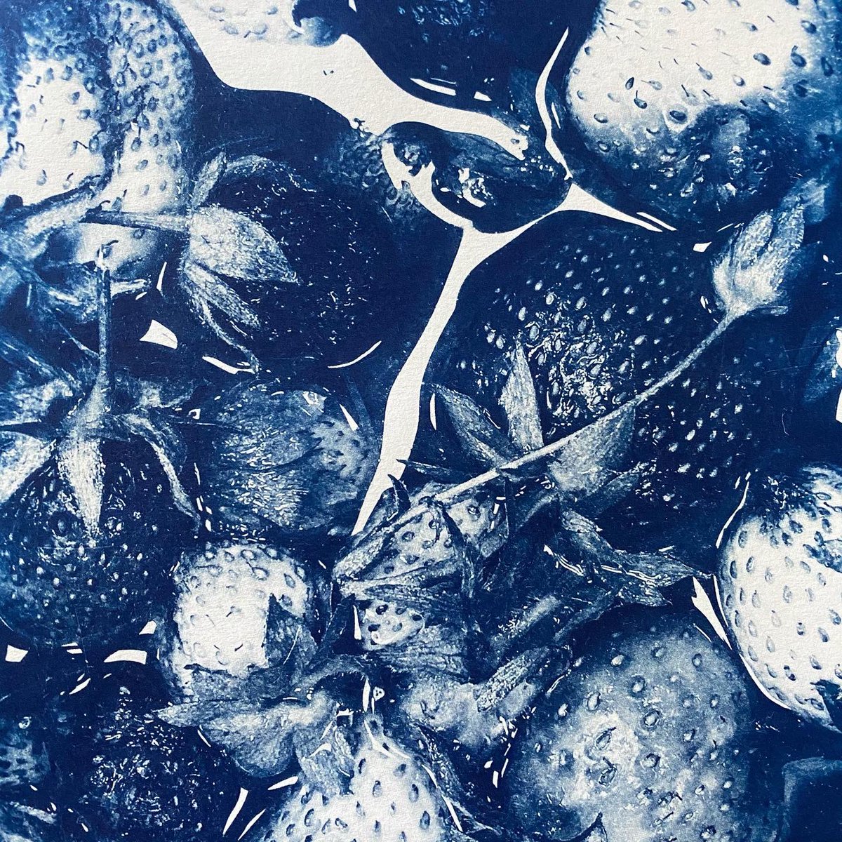bugyjuice's tweet photo. I’ll be at @ABQartwalk tomorrow night! Come say hi and check out some projects I’ve been working on 🤫🥤🫐 https://t.co/y68DVbMJF3