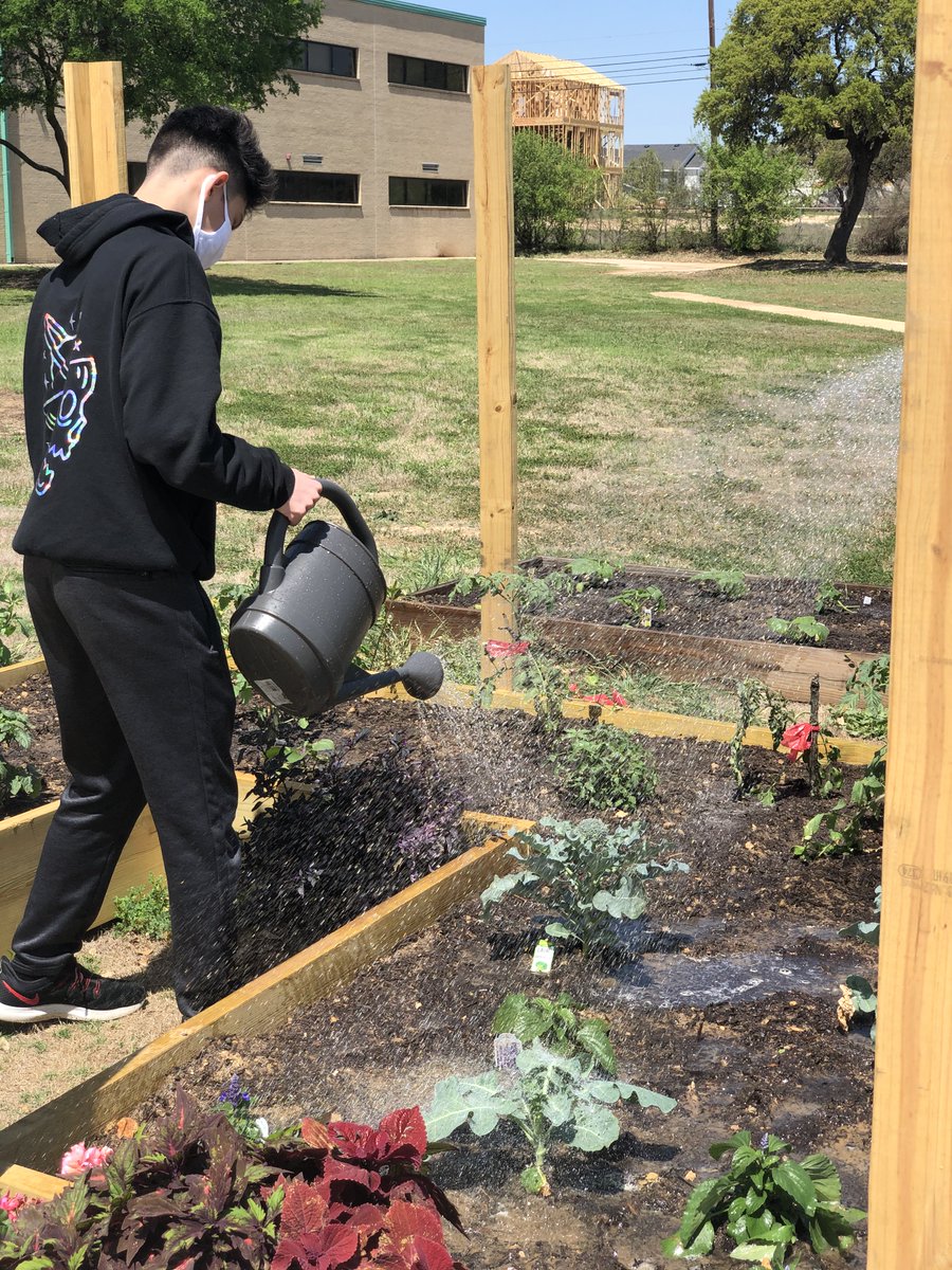 AcornSkyhawk's tweet photo. Watering our Garden. #ProjectAcron @NISDStinson @SollarsAmalia @stinsonprincess #APStin https://t.co/m6j3ANgt8f