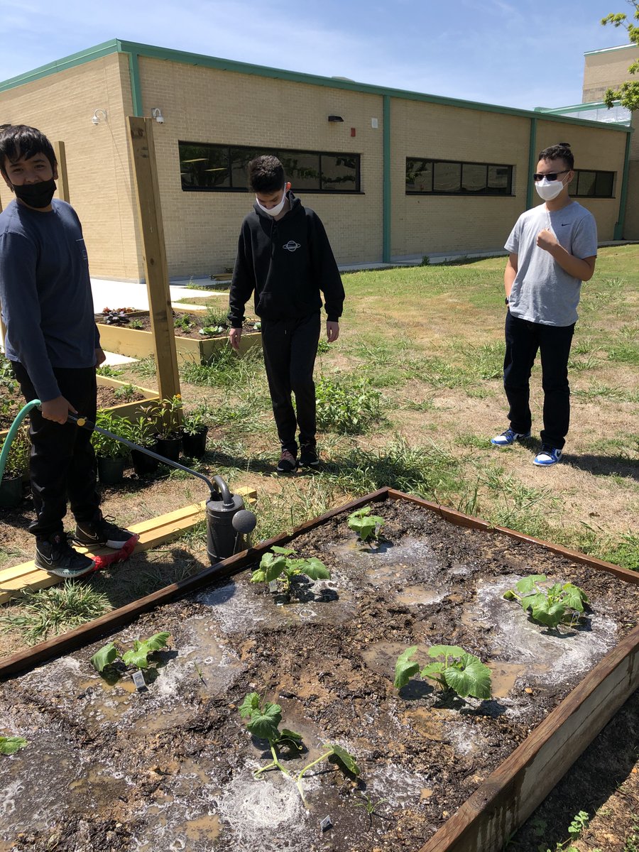 Watering our Garden. #ProjectAcron <a href="/NISDStinson/">Stinson MS NISD</a> <a href="/SollarsAmalia/">Amalia Sollars</a> <a href="/stinsonprincess/">Lourdes Medina</a> #APStin