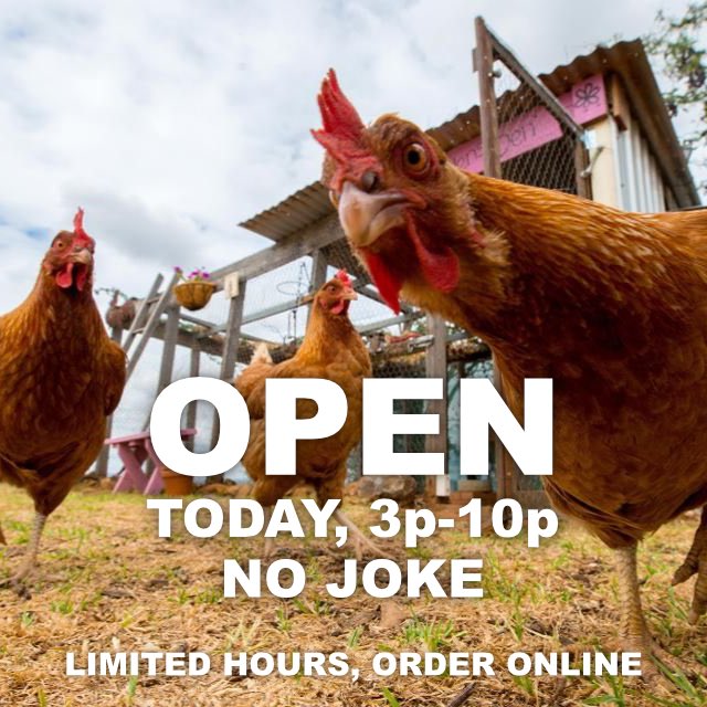 basiliskpdx's tweet photo. We are back! Opening today, April 1st, no joke! Order online for in person, takeout, or delivery. If you are at our building, there is a menu option to let us know you are here, be sure to add it.

Our current hours for now:
Monday-Friday, 3p-10p
Saturday &amp; Sunday, Noon-10p https://t.co/sHha4MohHY