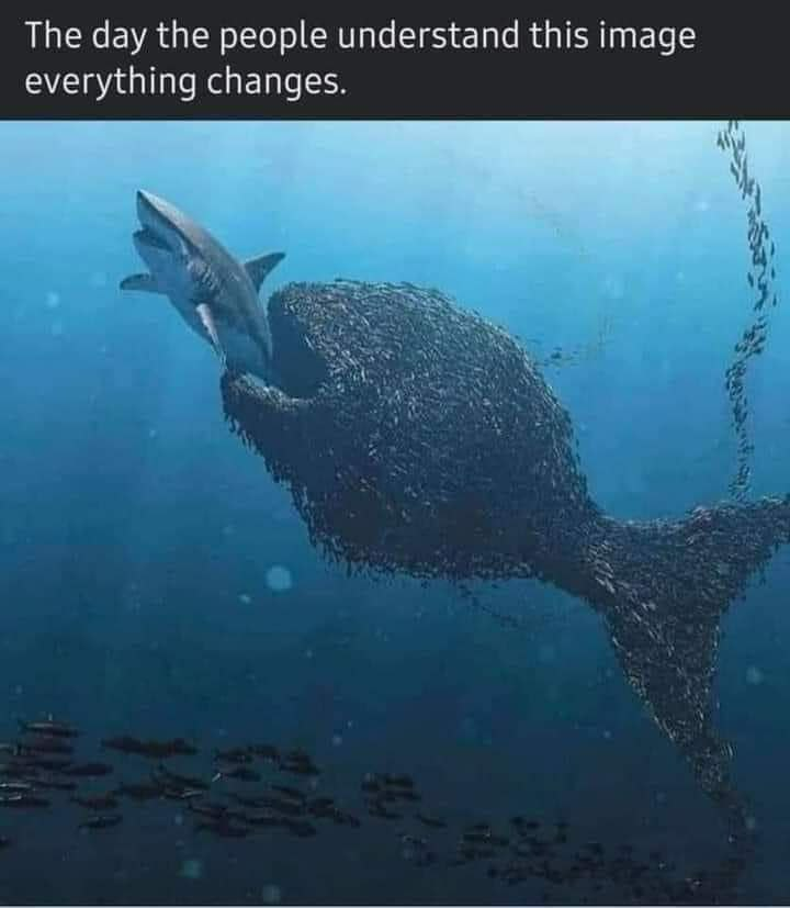 Manifest_Utopia's tweet photo. The day The People understand this image everything changes.

We are many, they are few. https://t.co/o4g5OFGQve