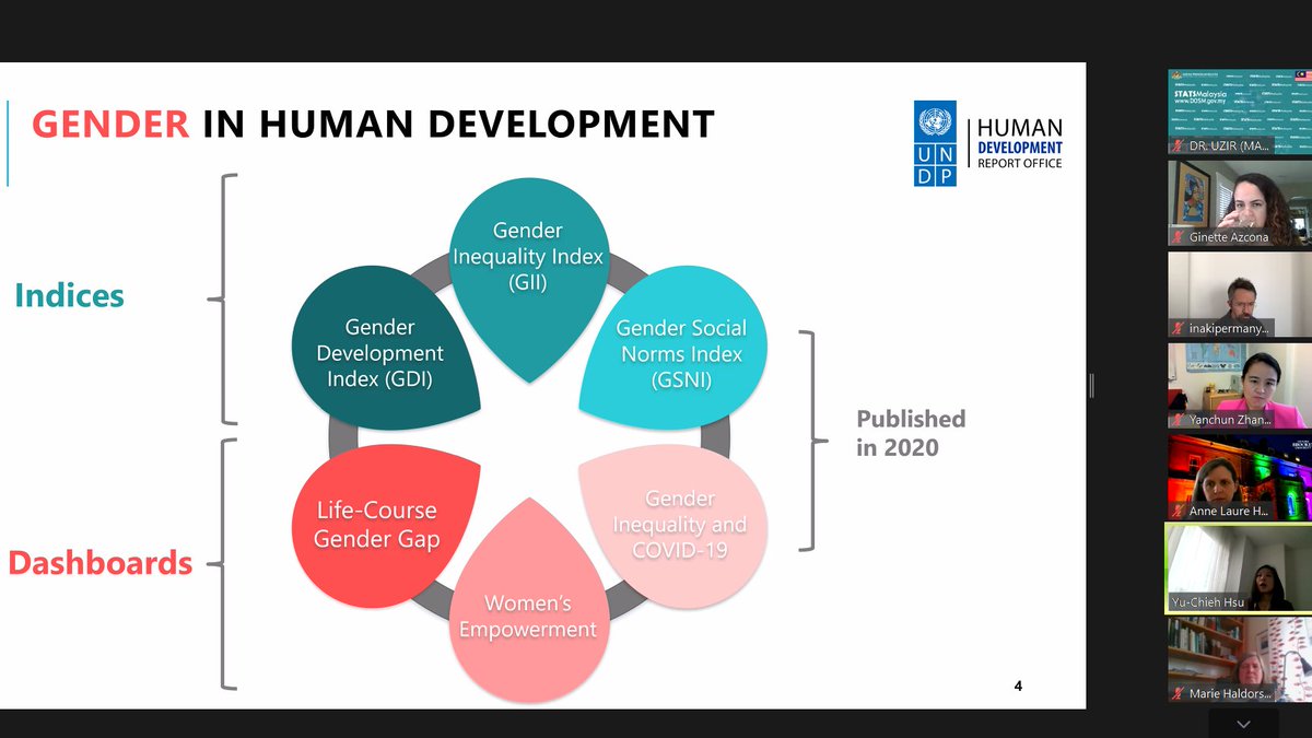 HDRUNDP's tweet photo. Day 2 of the @HDRUNDP Statistical Advisory Panel featured rich discussions on our forthcoming gender indices, as well as the tools & communications initiatives underway to make #Data4HumanDev more accessible than ever. Many thanks to our panel members for their helpful inputs! https://t.co/iBWVbEth21
