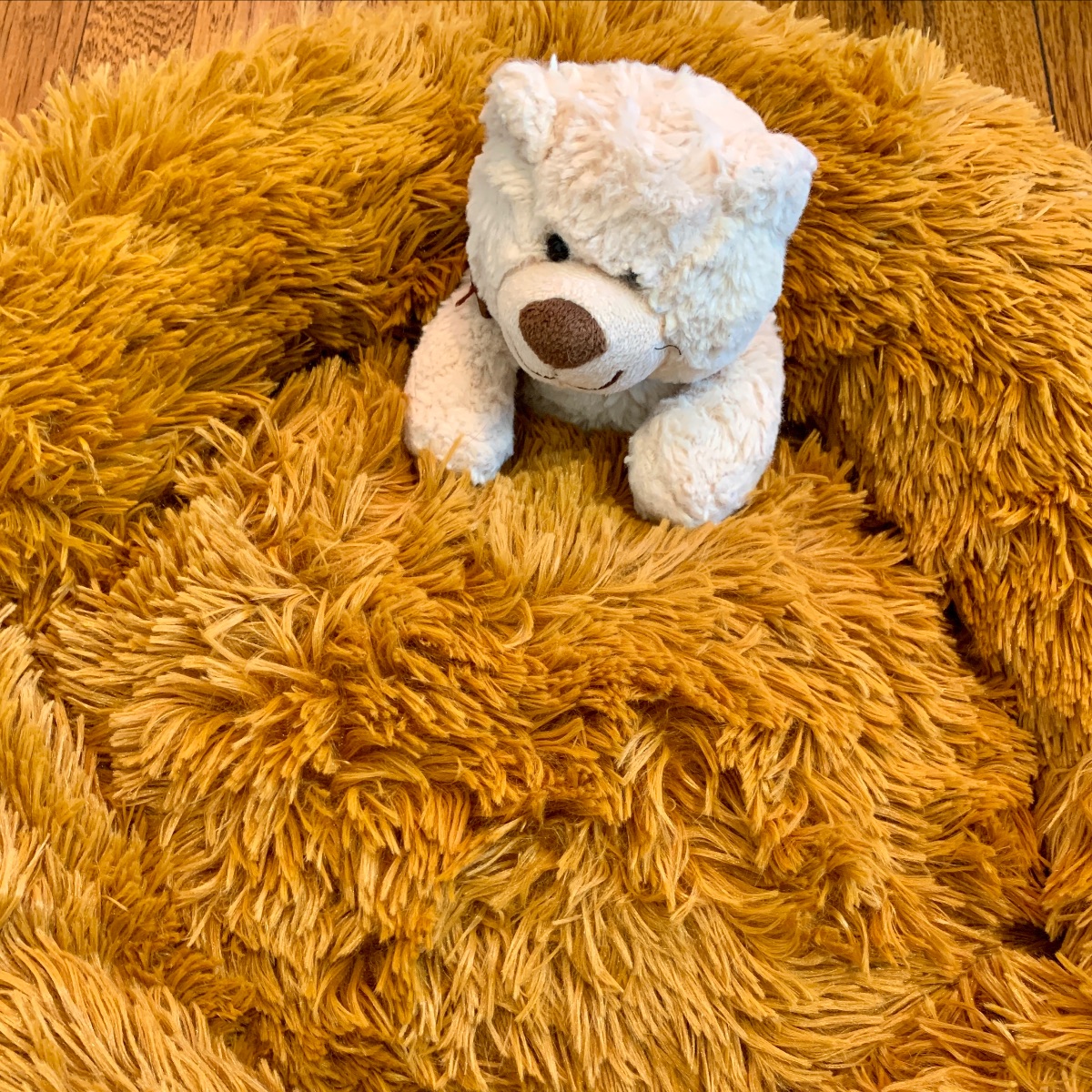 HeartPup's tweet photo. No April Fool's! NEW BEST ORTHOPEDIC HYPO-ALLERGENIC SHREDDED MEMORY FOAM PET BED is HALF OFF TODAY! 😻 - https://t.co/uU81C66TwJ
.
#orthropedicdogbed #petbed #dogbed #catbed #shreddedmemoryfoam #dog #cat #sleep #donutbed #hypoallergenic #aprilfoolssale #aprilfools https://t.co/ryAKtpcTc5