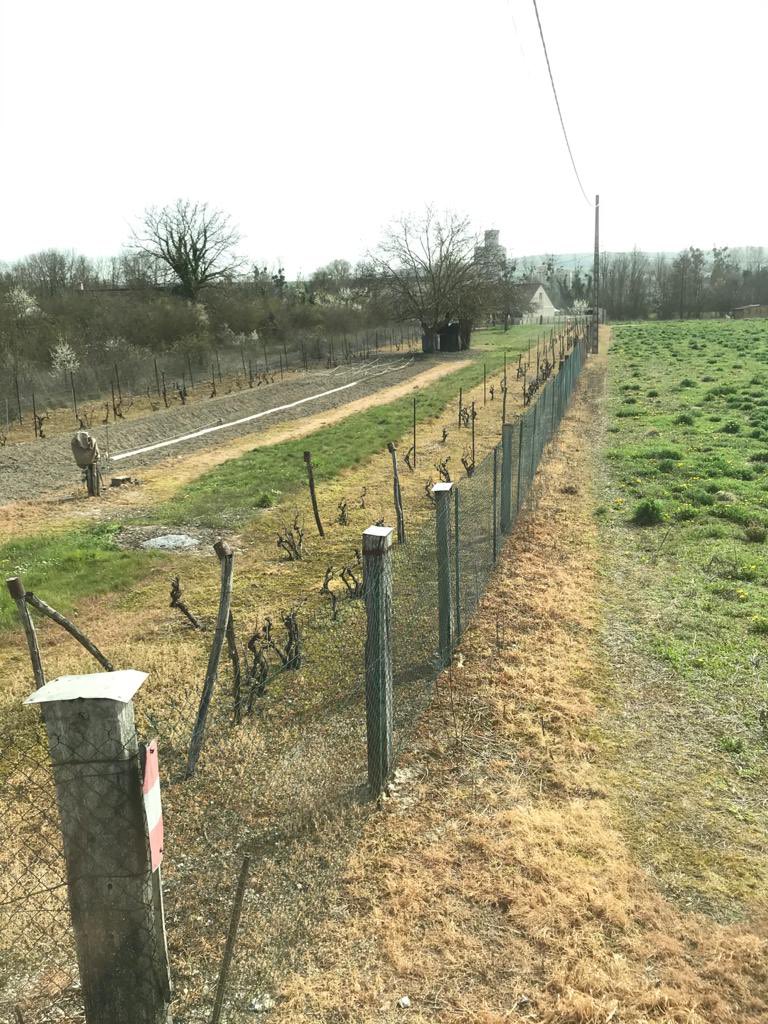 agriaube86's tweet photo. Euh... a quand une znt voisin pour protéger nos parcelles 🤬😡😤 ps: le même voisin qui me demande de broyer ma jachère mellifère en plein mois de juillet pour pas avoir de mauvaises herbes... https://t.co/EnG4LD0HRi