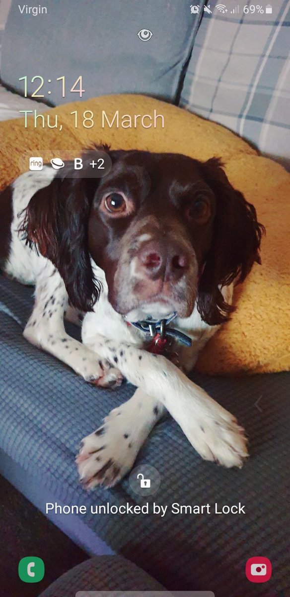 KatieB2212's tweet photo. @bluelightcard Hugo 🐕 https://t.co/ufA5L5pYWI