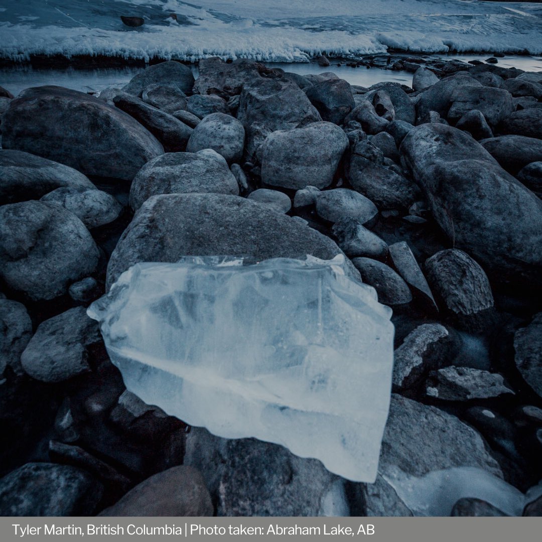 UKinCanada's tweet photo. Photographers across 🇨🇦 shared their climate stories with us in our first ever #CapturingClimate 📸 competition
See the winning photos and learn how they inform our #climateaction campaign at ➡️ https://t.co/LD20HRTKv8 https://t.co/msHkdhiWsA