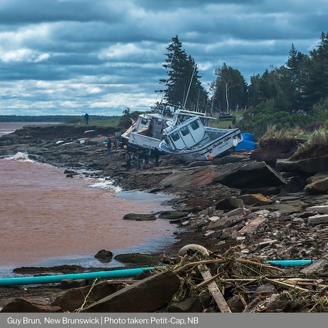 UKinCanada's tweet photo. Photographers across 🇨🇦 shared their climate stories with us in our first ever #CapturingClimate 📸 competition
See the winning photos and learn how they inform our #climateaction campaign at ➡️ https://t.co/LD20HRTKv8 https://t.co/msHkdhiWsA